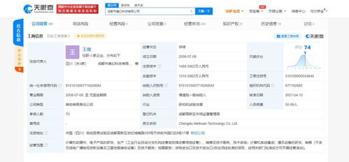 計算機軟硬件研發及銷售 科技創新的雙輪驅動