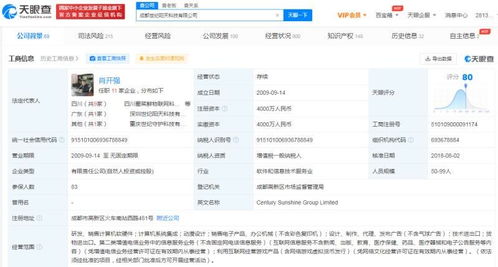 計算機軟硬件研發與銷售 技術驅動與市場拓展的雙輪引擎